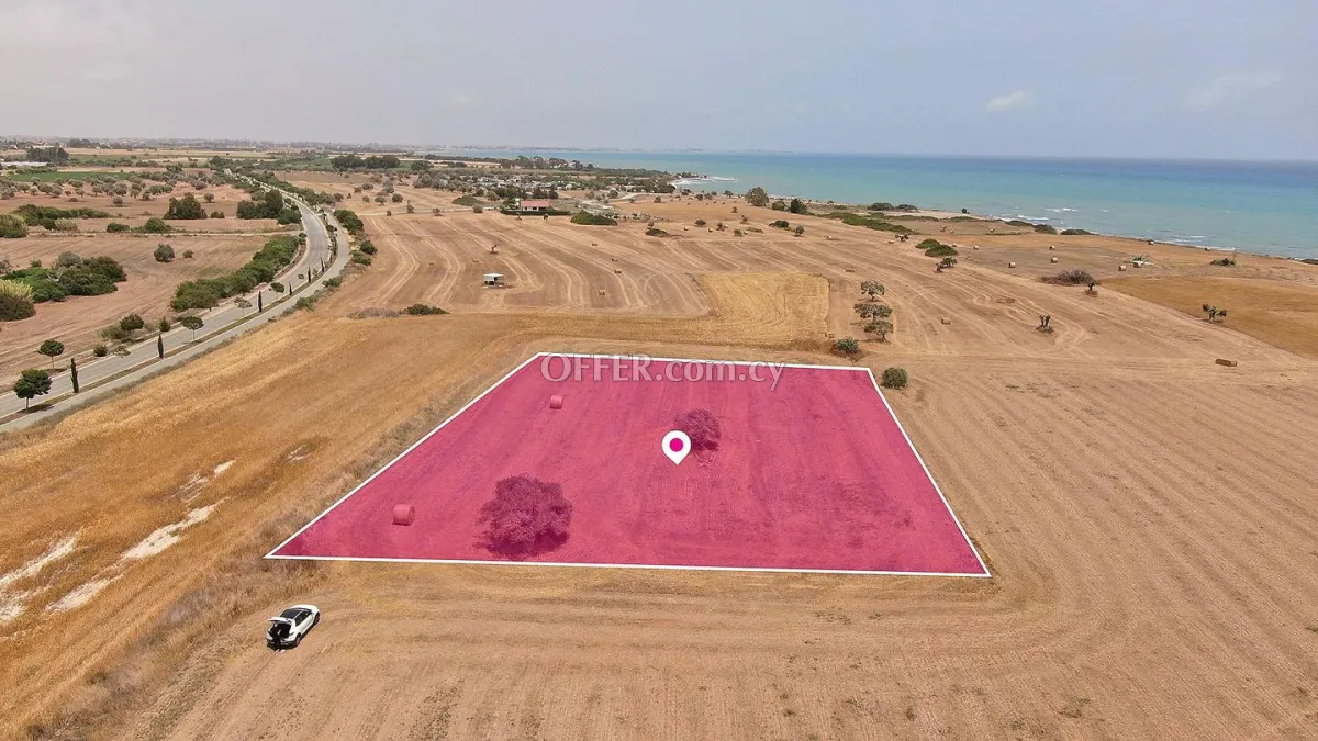 Touristic Field in Mazotos Larnaca - 3