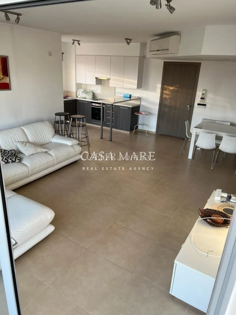 Furnished 2-Bedroom Penthouse Apartment  with Roof Garden in Aglantzia, Nicosia - 6