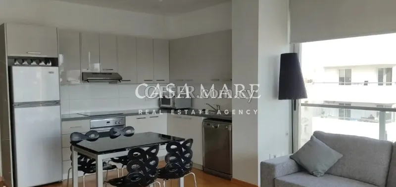 Fully Furnished 2 Bedroom Apartment, Engomi, Nicosia - 5