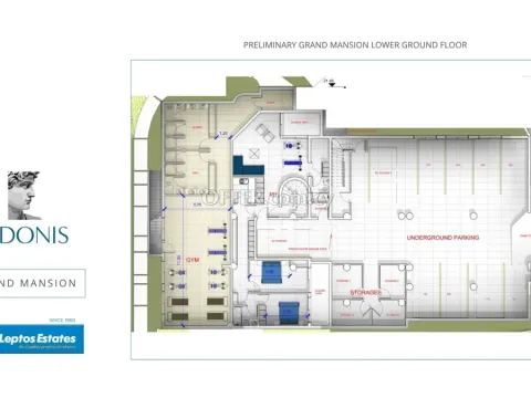 6 bed house for sale in Chloraka Pafos - 2