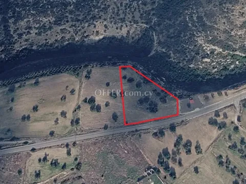 (Agricultural) in Prastio - Avdimou, Limassol for Sale