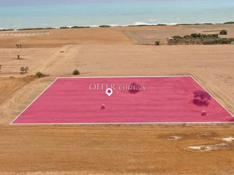 Touristic Field in Mazotos Larnaca