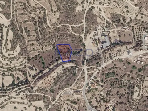 Large Field for Sale in Lush Paramytha (LANDLOCKED) - Main Photo