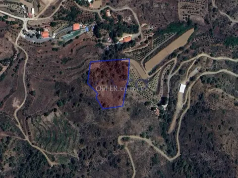 Large Field Plot 7693m2 in Peaceful Kalo Chorio - Main Photo