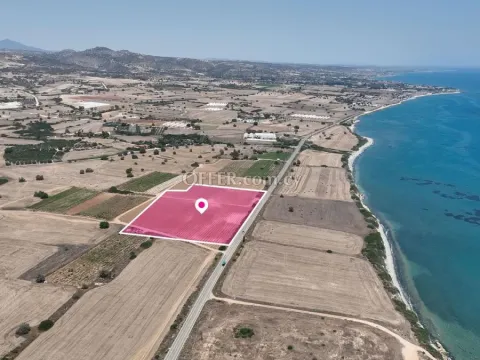 Field in Maroni Larnaca