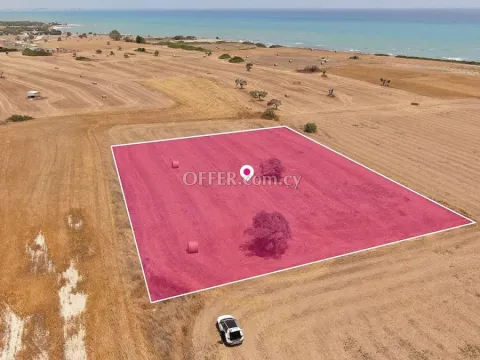 Touristic Field in Mazotos Larnaca - 4