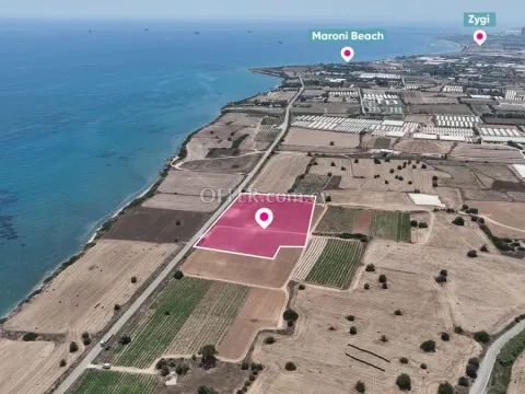 Field in Maroni Larnaca - 5