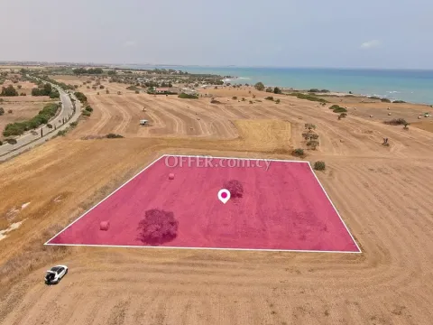 Touristic Field in Mazotos Larnaca - 3