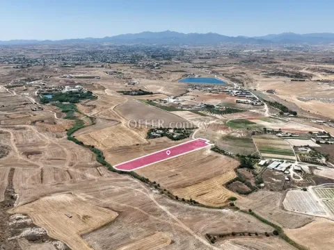 Agricultural field in Pano Deftera Nicosia - 4