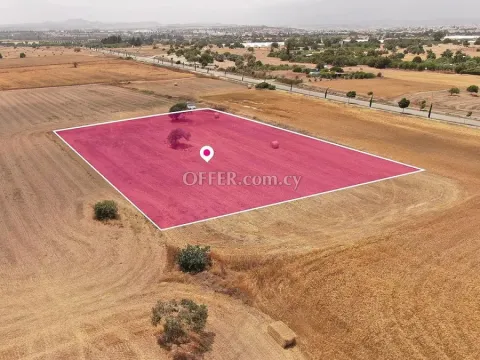 Touristic Field in Mazotos Larnaca - 2