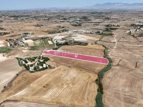 Agricultural field in Pano Deftera Nicosia - 3