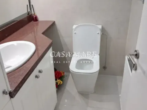 3 Bedroom Penthouse in Nicosia Agioi Omologites - 4