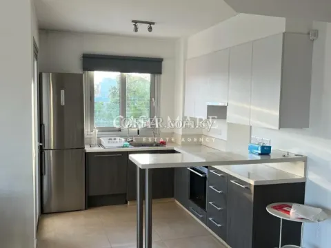 Furnished 2-Bedroom Penthouse Apartment  with Roof Garden in Aglantzia, Nicosia - 3