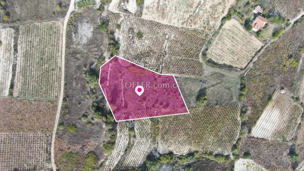 Residential Field Omodos Limassol - 4