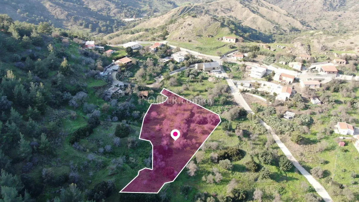 Residential field located in Pigenia Nicosia - 3