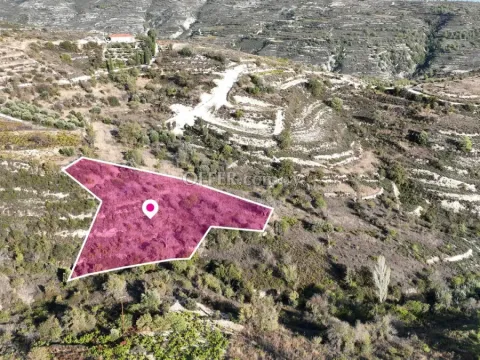 Residential Field Vouni Limassol
