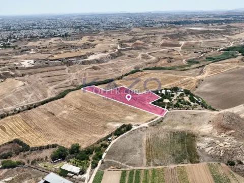 Agricultural field in Pano Deftera, Nicosia - 5