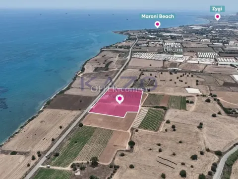 Field in Maroni, Larnaca - 5