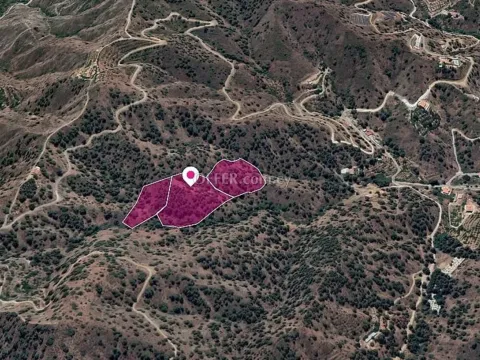 Three adjacent agricultural Fields in Kakopetria Nicosia - 4