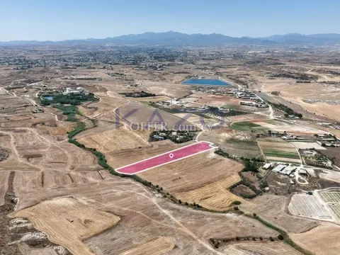 Agricultural field in Pano Deftera, Nicosia - 4