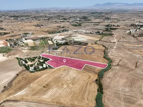 Agricultural field in Pano Deftera, Nicosia - 4