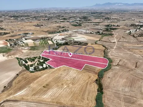 Two adjacent agricultural fields in Pano Deftera, Nicosia - 4