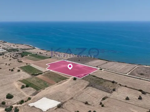 Field in Maroni, Larnaca - 4