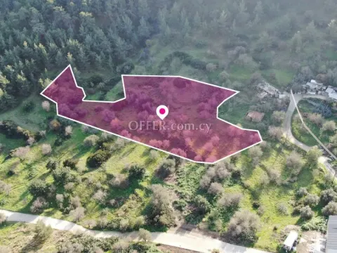 Residential field located in Pigenia Nicosia - 7