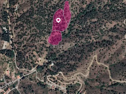 Three adjacent agricultural Fields in Kakopetria Nicosia - 3