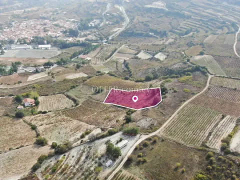 Residential Field Omodos Limassol - 5
