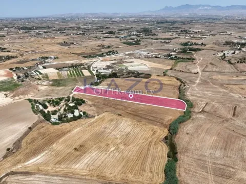 Agricultural field in Pano Deftera, Nicosia - 3