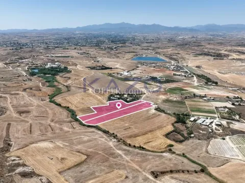 Two adjacent agricultural fields in Pano Deftera, Nicosia - 3