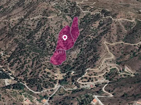 Three adjacent agricultural Fields in Kakopetria Nicosia - 2