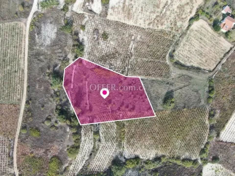 Residential Field Omodos Limassol - 4