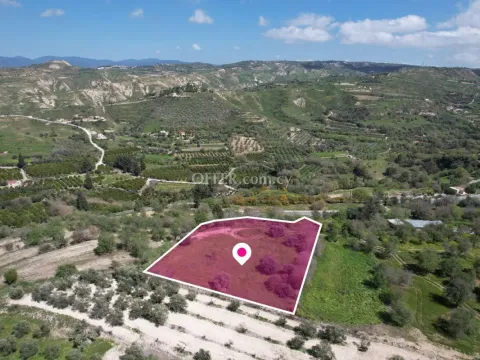 Residential Field in Giolou Paphos - 3