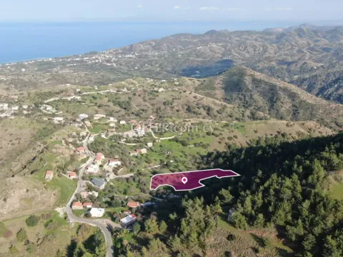 Residential field located in Pigenia Nicosia - 4