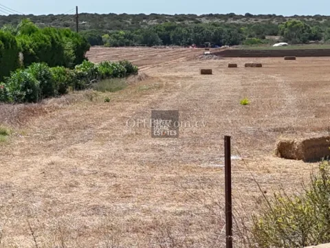 Agricultural Land in Agia Napa, Cape Greco. - 8