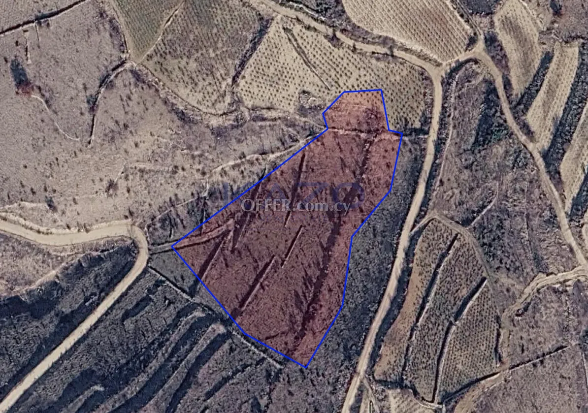 Large 8027m2 Field for Sale in Vasa Koilaniou (LANDLOCKED) - 1