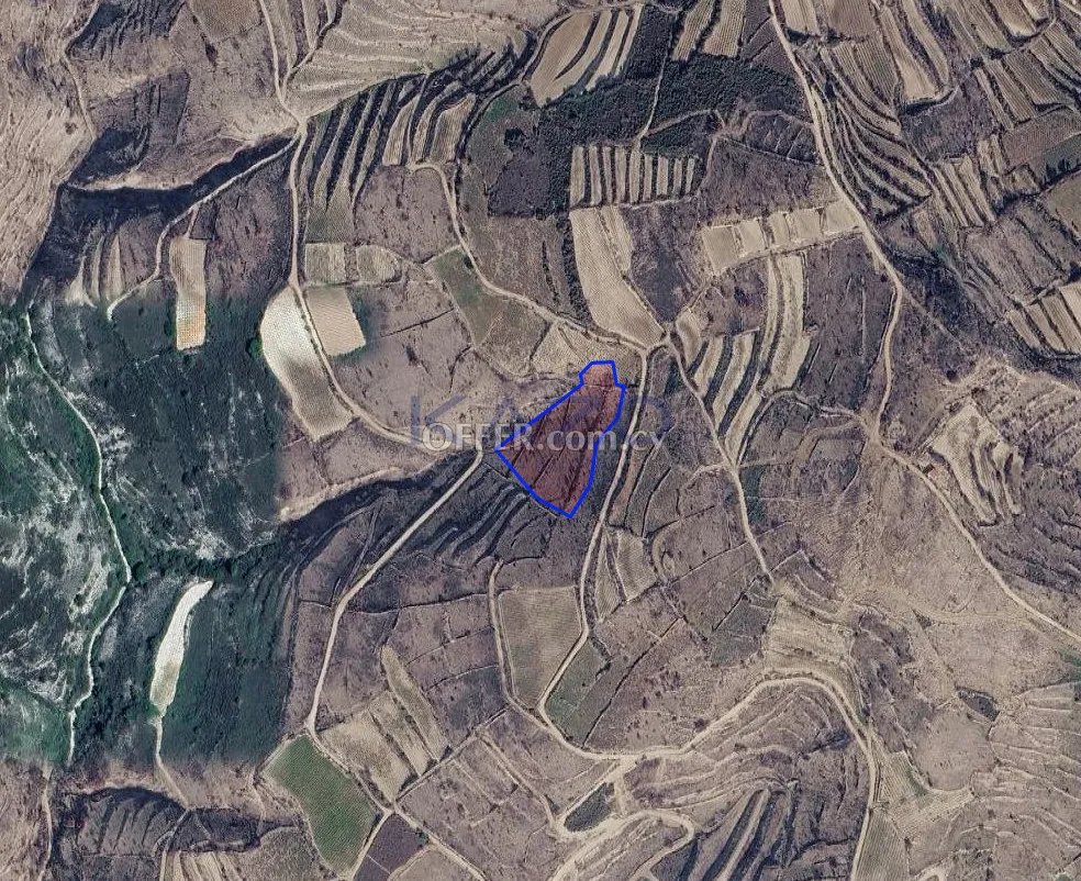 Large 8027m2 Field for Sale in Vasa Koilaniou (LANDLOCKED) - 3