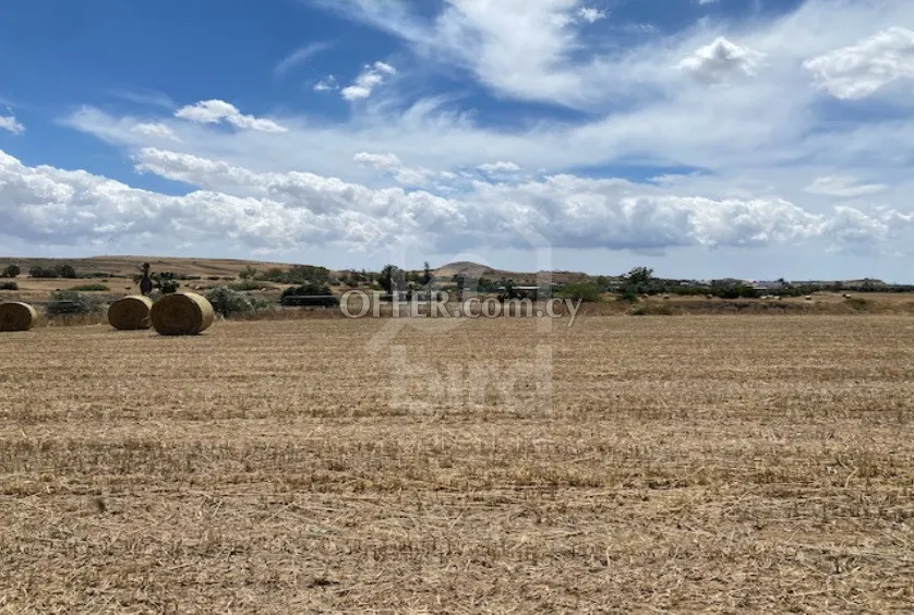 Field for Sale in Geri, Nicosia - 10