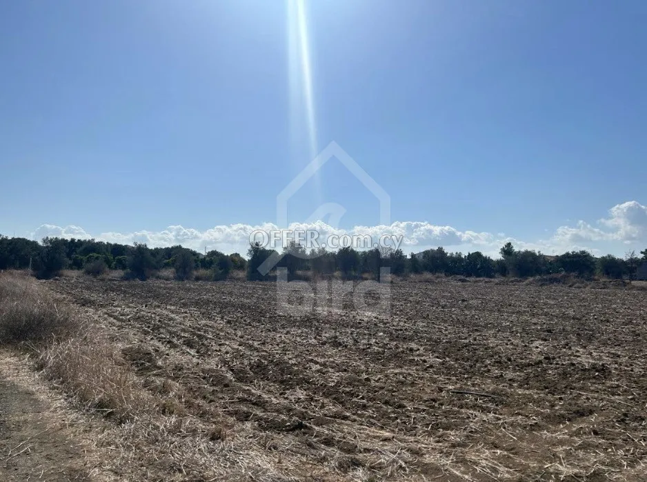 Field for Sale in Psimolofou, Nicosia - 2