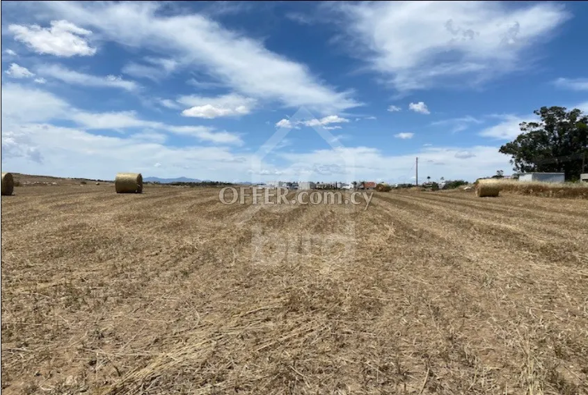 Field for Sale in Geri, Nicosia - 9