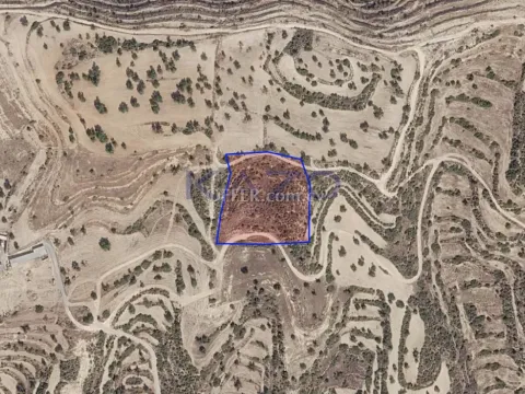 Large 8362m2 Field for Sale in Paramytha (LANDLOCKED) - Main Photo
