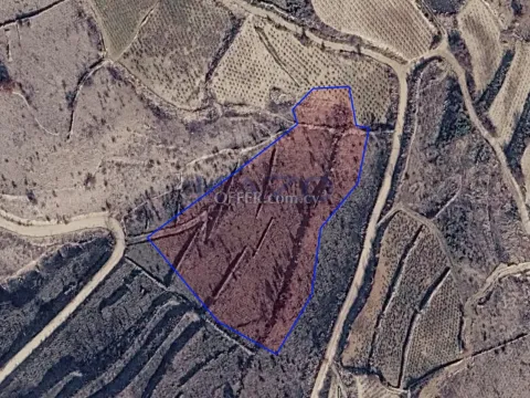 Large 8027m2 Field for Sale in Vasa Koilaniou (LANDLOCKED) - Main Photo