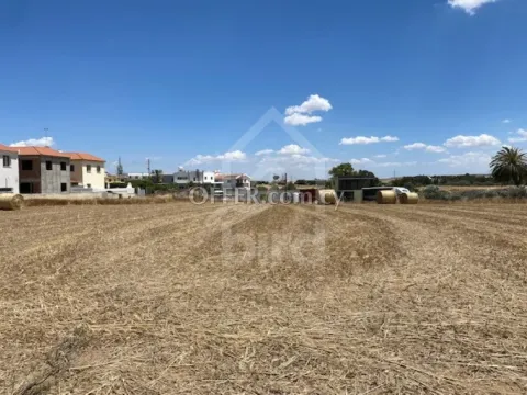 Field for Sale in Geri, Nicosia