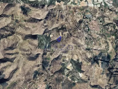 Large 8027m2 Field for Sale in Vasa Koilaniou (LANDLOCKED) - 2