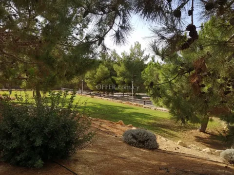 2-bedroom Detached Villa 112 sqm in Pissouri - Main Photo