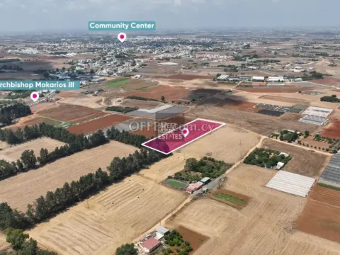 Agricultural Field in Deryneia