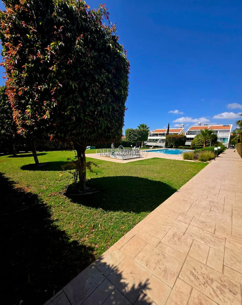 2 BEDROOM SEAFRONT APARTMENT IN AGIOS TYCHONAS - 2