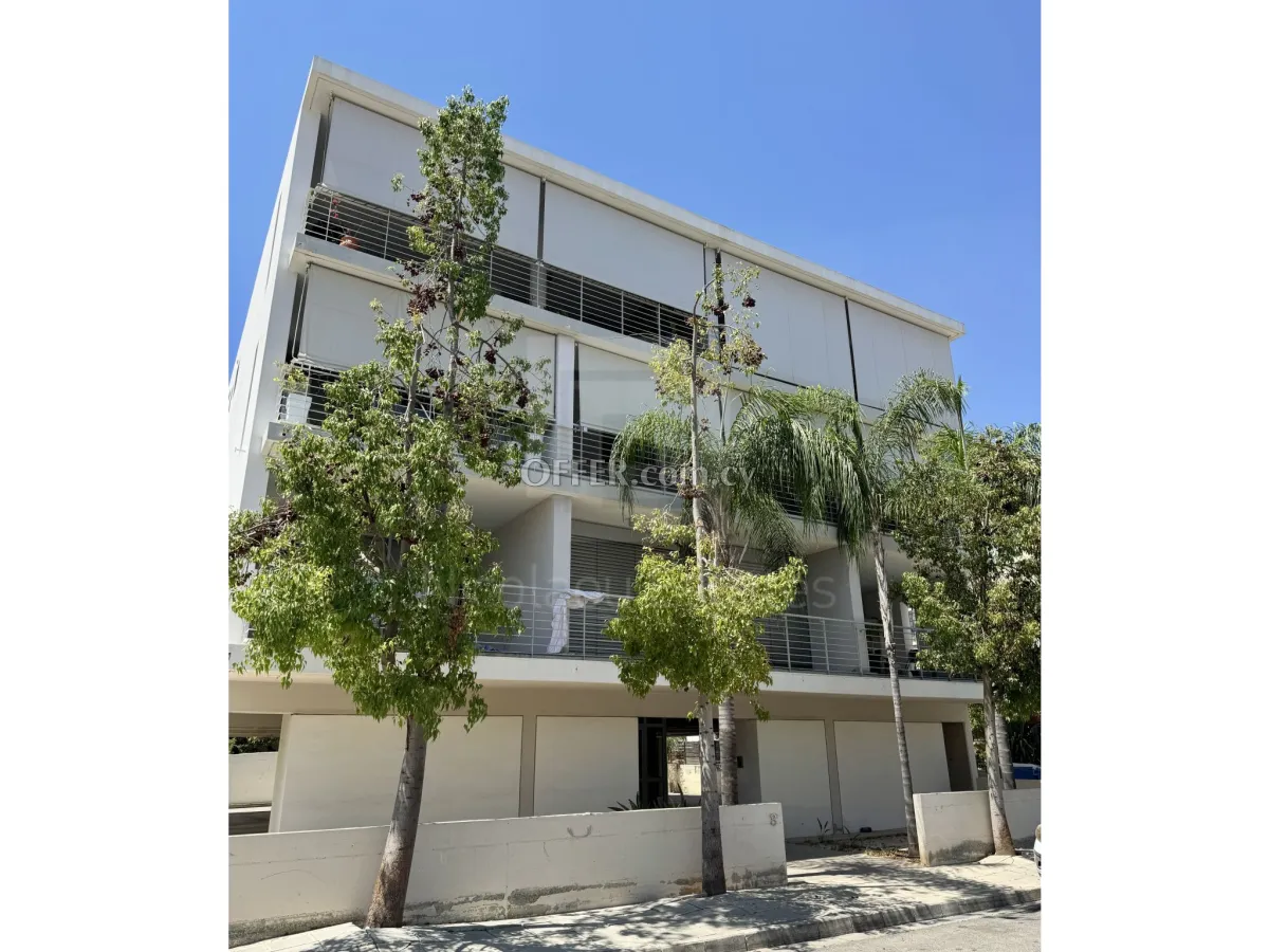 Modern three bedroom apartment for Rent in Dasoupoli - 1